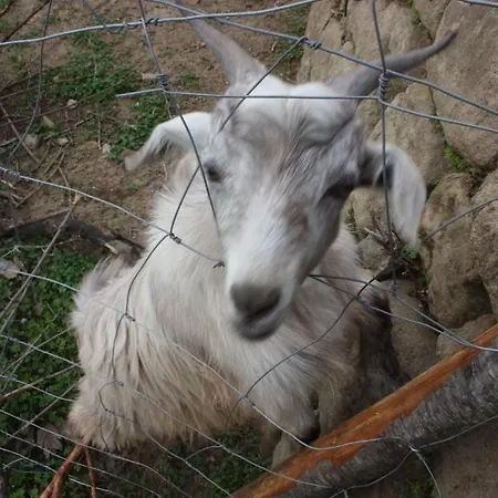 Ghiritina Alloggio per agriturismo *